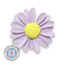Handmade Fridge Magnet - Daisy
