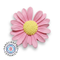 Handmade Fridge Magnet - Daisy